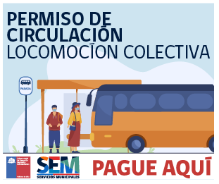 Locomoción Colectiva - Permiso de Circulación