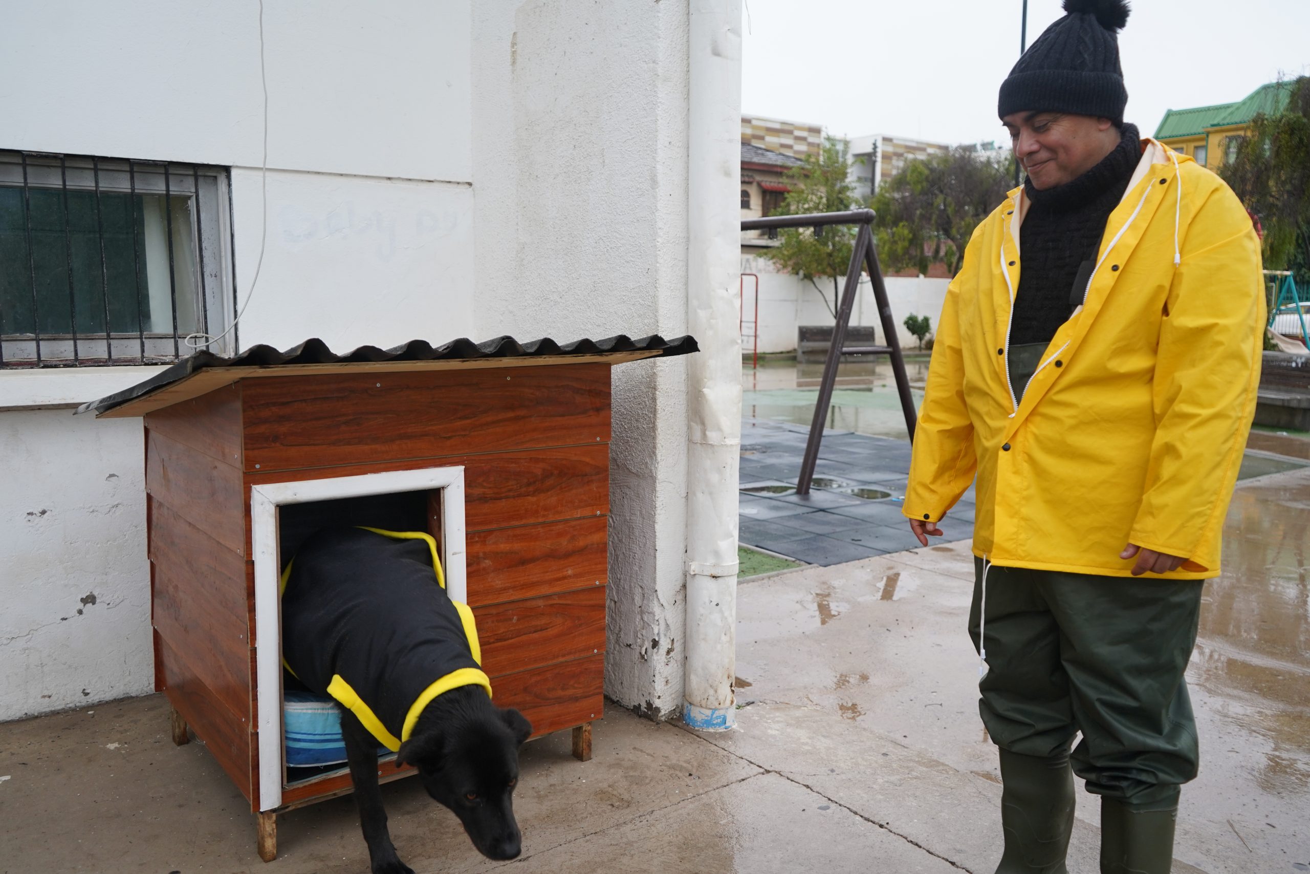 Comenzamos instalación de casitas para perros comunitarios en La Ligua